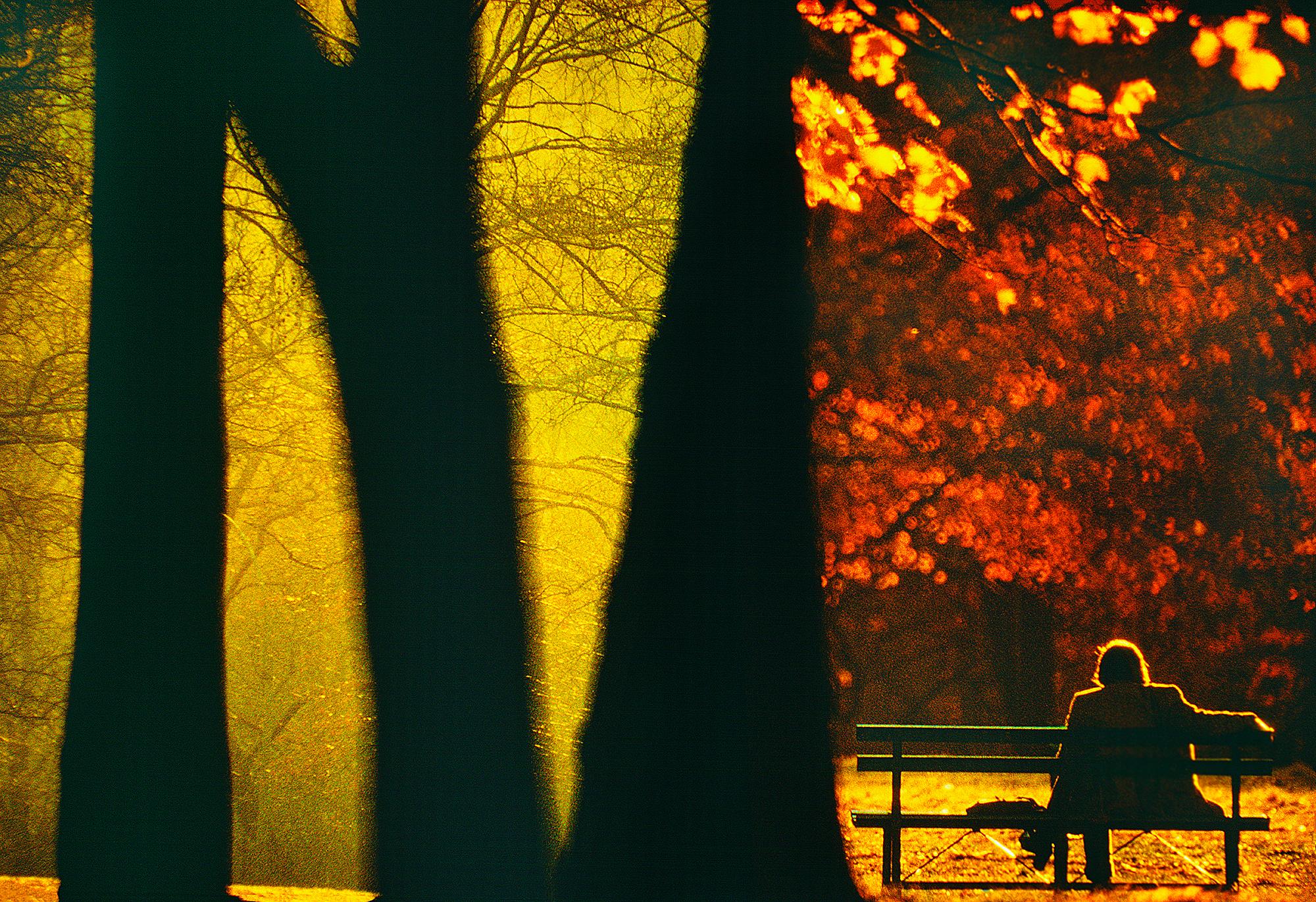 Figure solitaire à la lumière d'or dans Central Park 