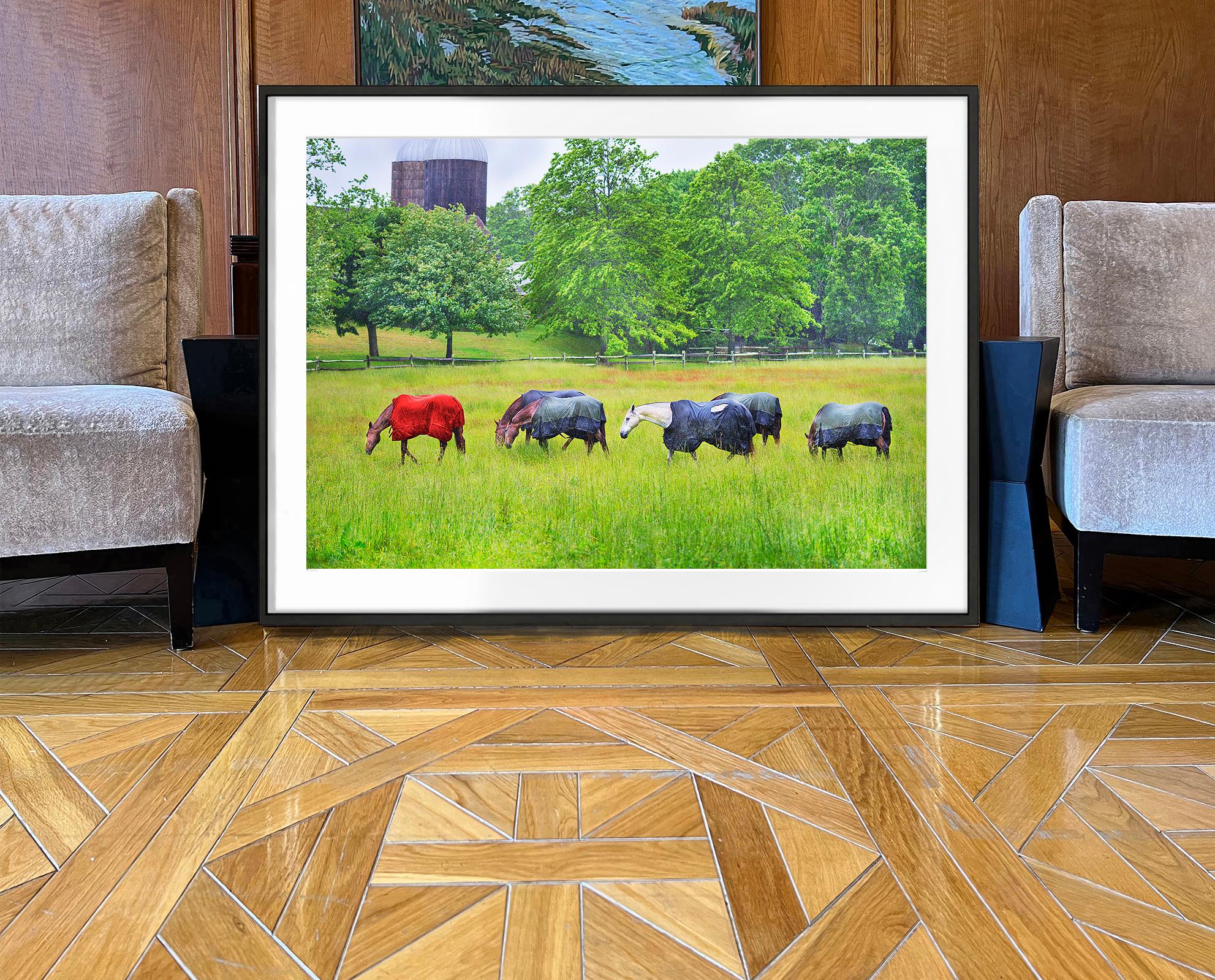 Pferde, East Hampton (Grün), Landscape Photograph, von Mitchell Funk
