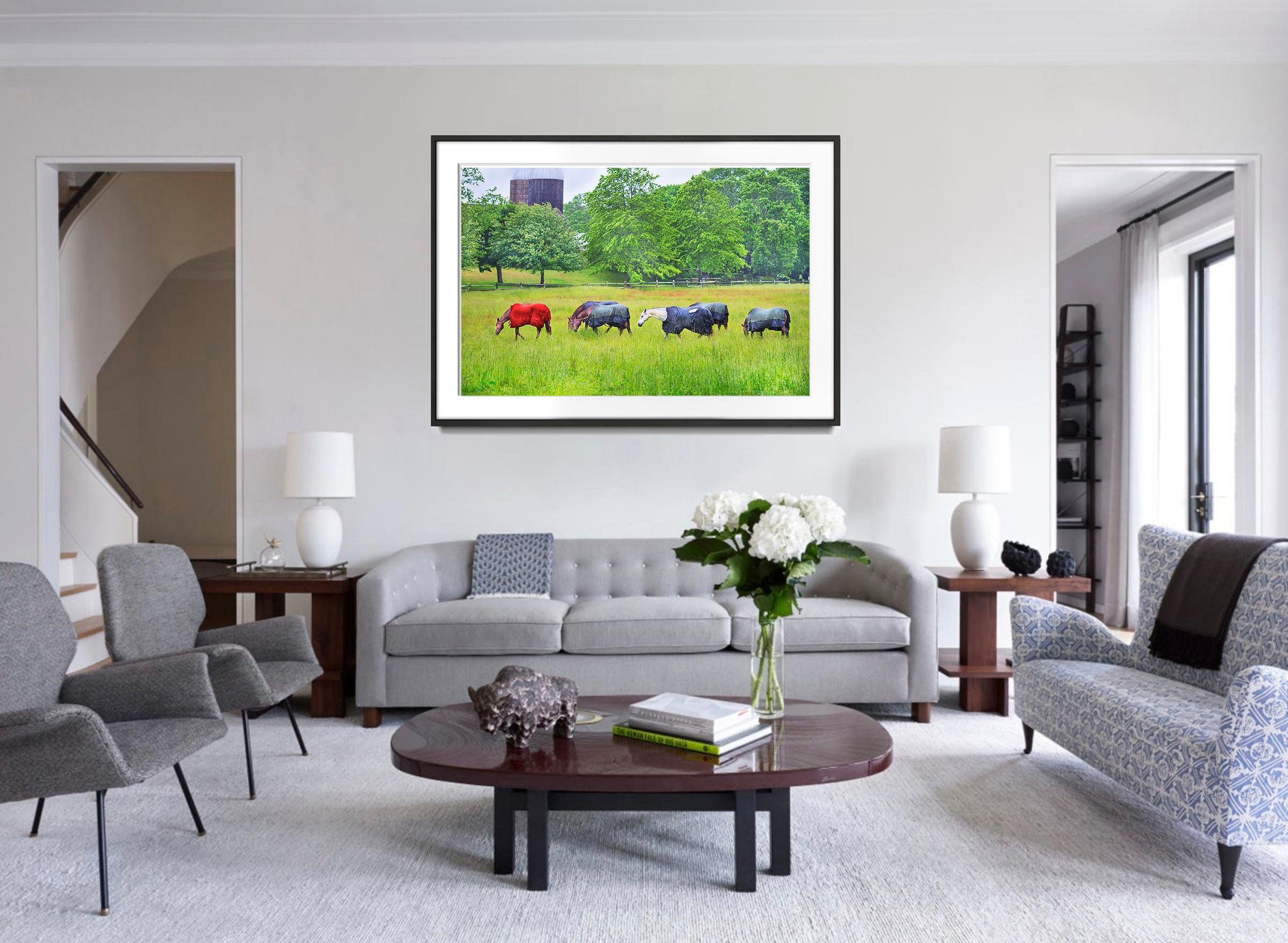 Horses in the Rain, East Hampton - Neutral palette - Photograph by Mitchell Funk