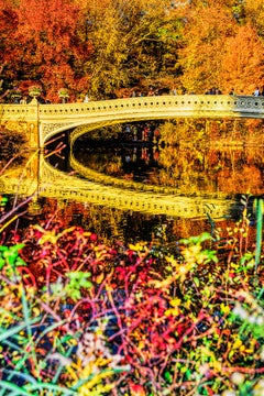 Colores de otoño