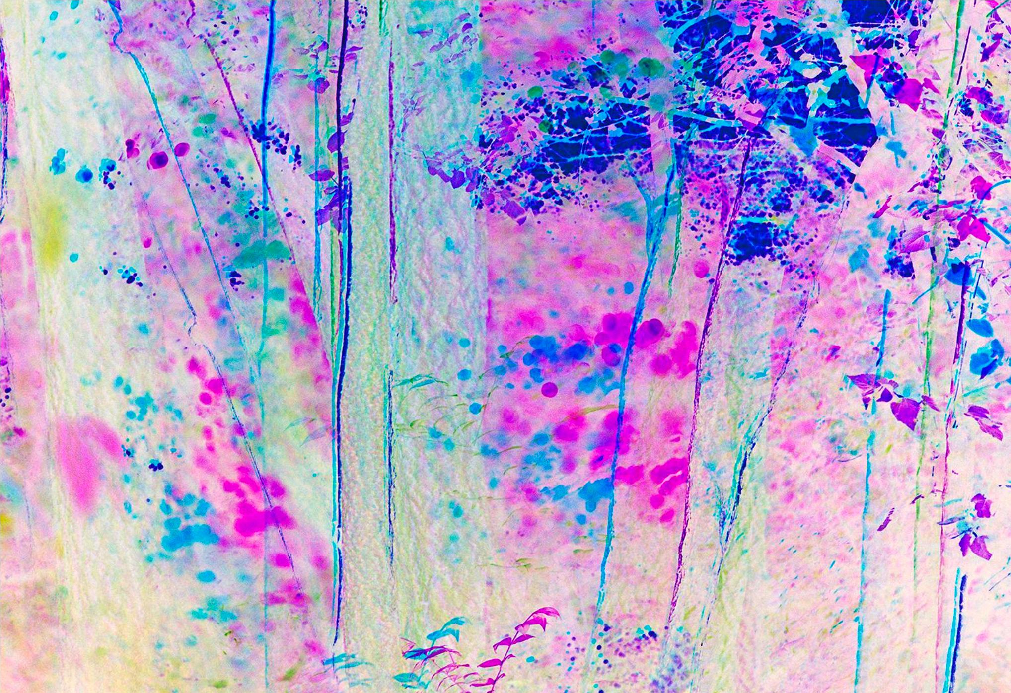 Abstract Photograph de Mitchell Funk - Impresionista Árboles Magenta Central Park