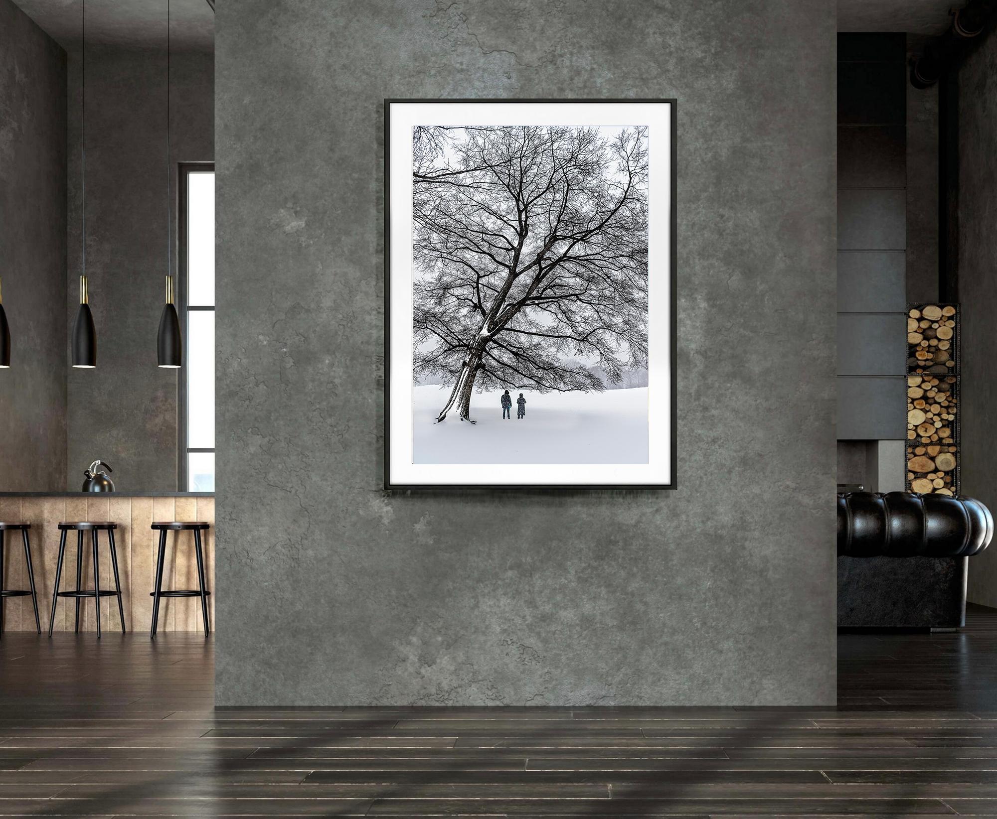 Albero senza foglie Scena di neve invernale monocromatica a Central Park nei grigi caldi - Photograph di Mitchell Funk