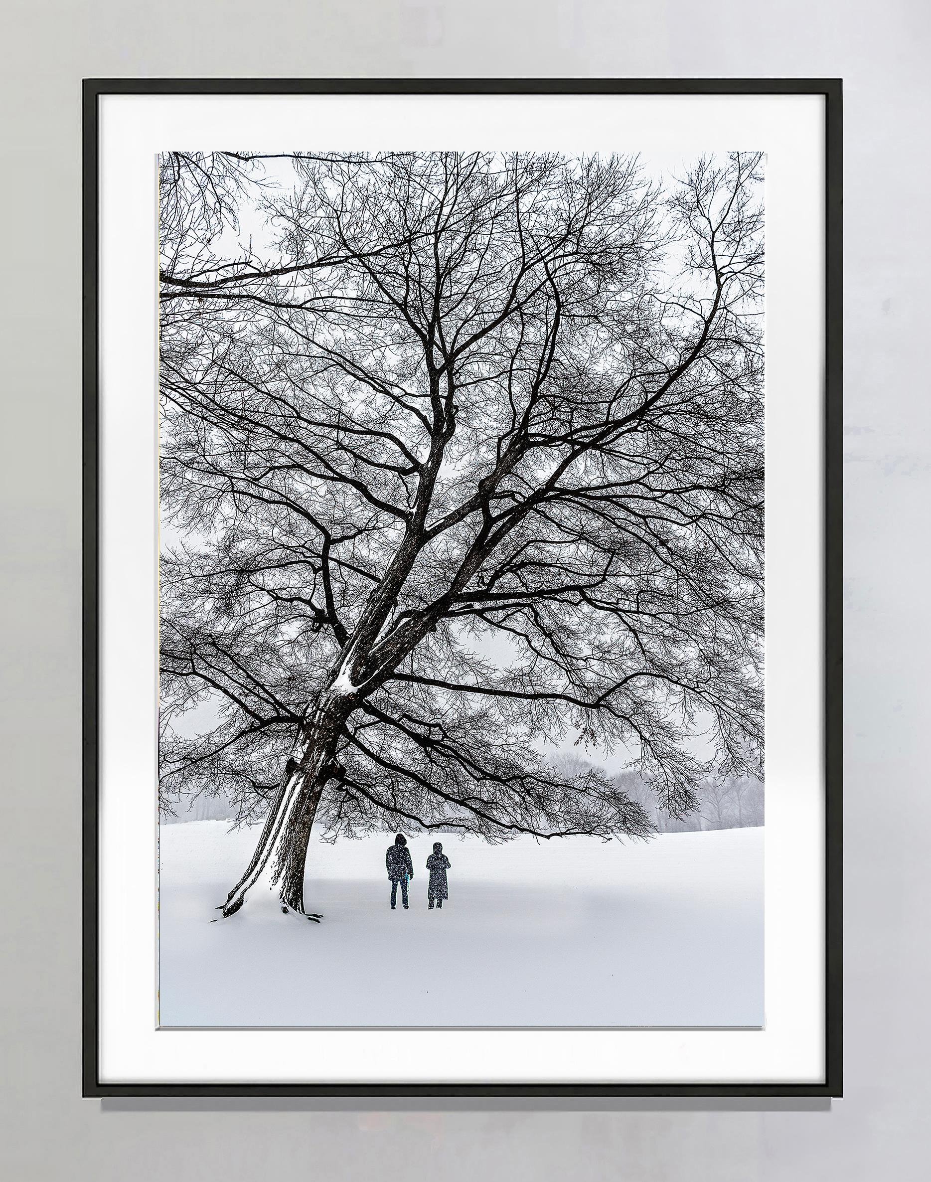 Albero senza foglie Scena di neve invernale monocromatica a Central Park nei grigi caldi - Photograph Impressionismo di Mitchell Funk