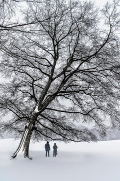 Archival Ink Landscape Photography