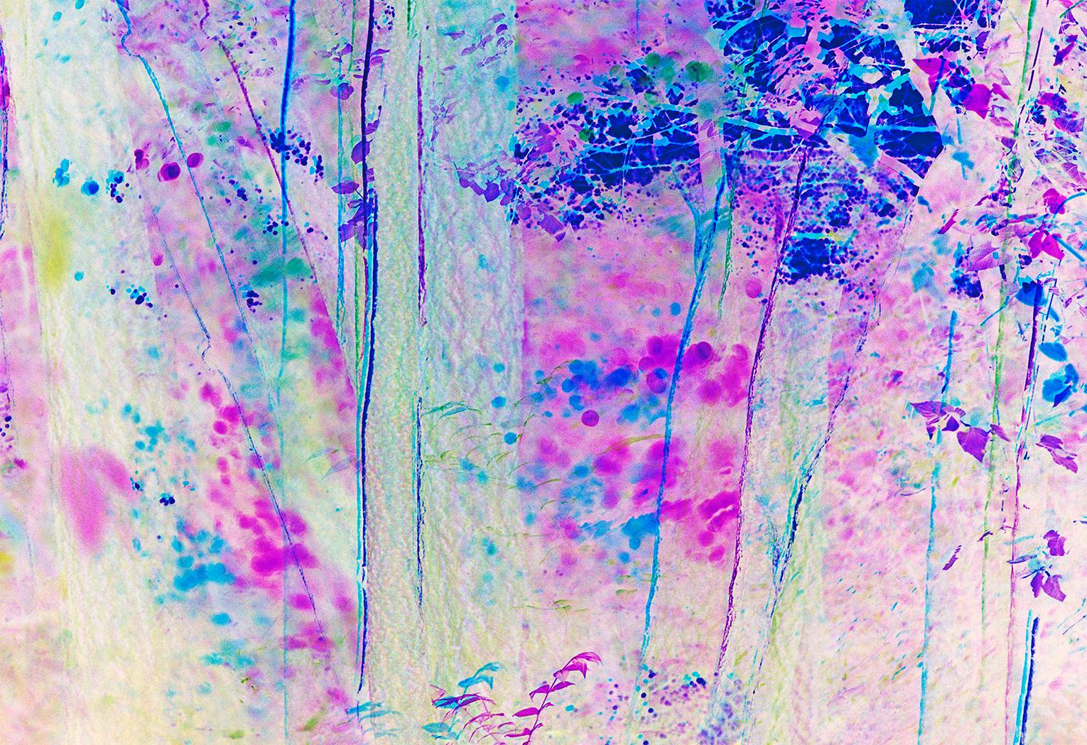 Mitchell Funk Landscape Photograph - Impressionist Magenta Trees  Central Park