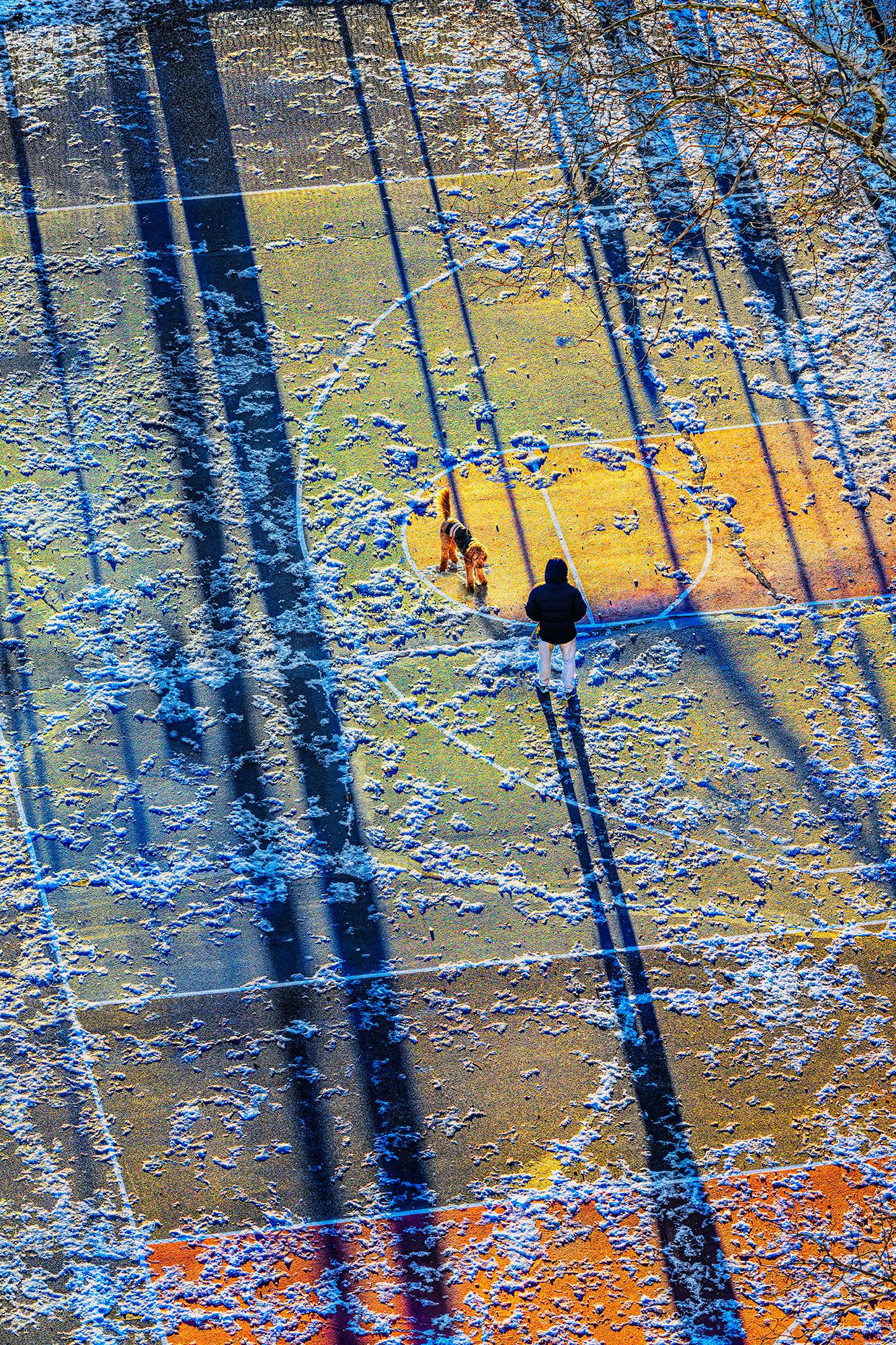 Man and Dog in New York City Park Early Morning Light  Impressionism 