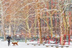 Tempesta di neve a New York: donna con cane, stampa artistica a colori, autografata, 3/15