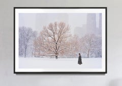 Uomo con cappello a cilindro a Central Park durante una tempesta di neve