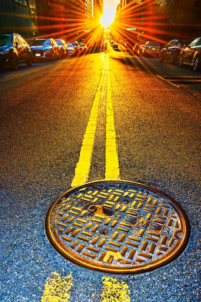 Thomas Ruff - THOMAS RUFF: Tripe 08 - 21st Century, Modern, Landscape ...