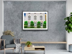 Elegant Manicured Topiary Garden San Francisco - Tree Sculpture