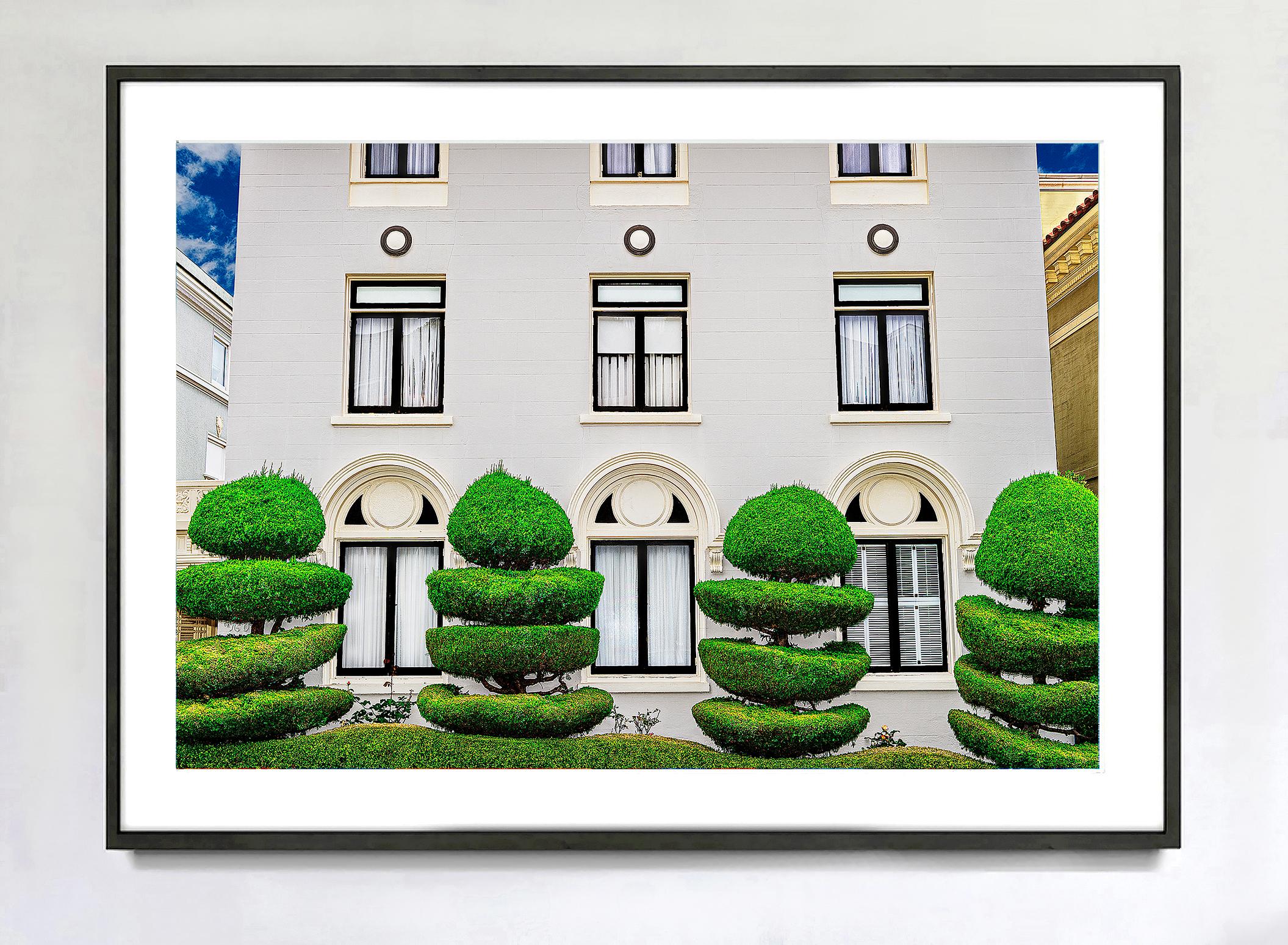 Eleganter gepflegter Topiary-Garten San Francisco – Baumskulptur (Grau), Landscape Photograph, von Mitchell Funk