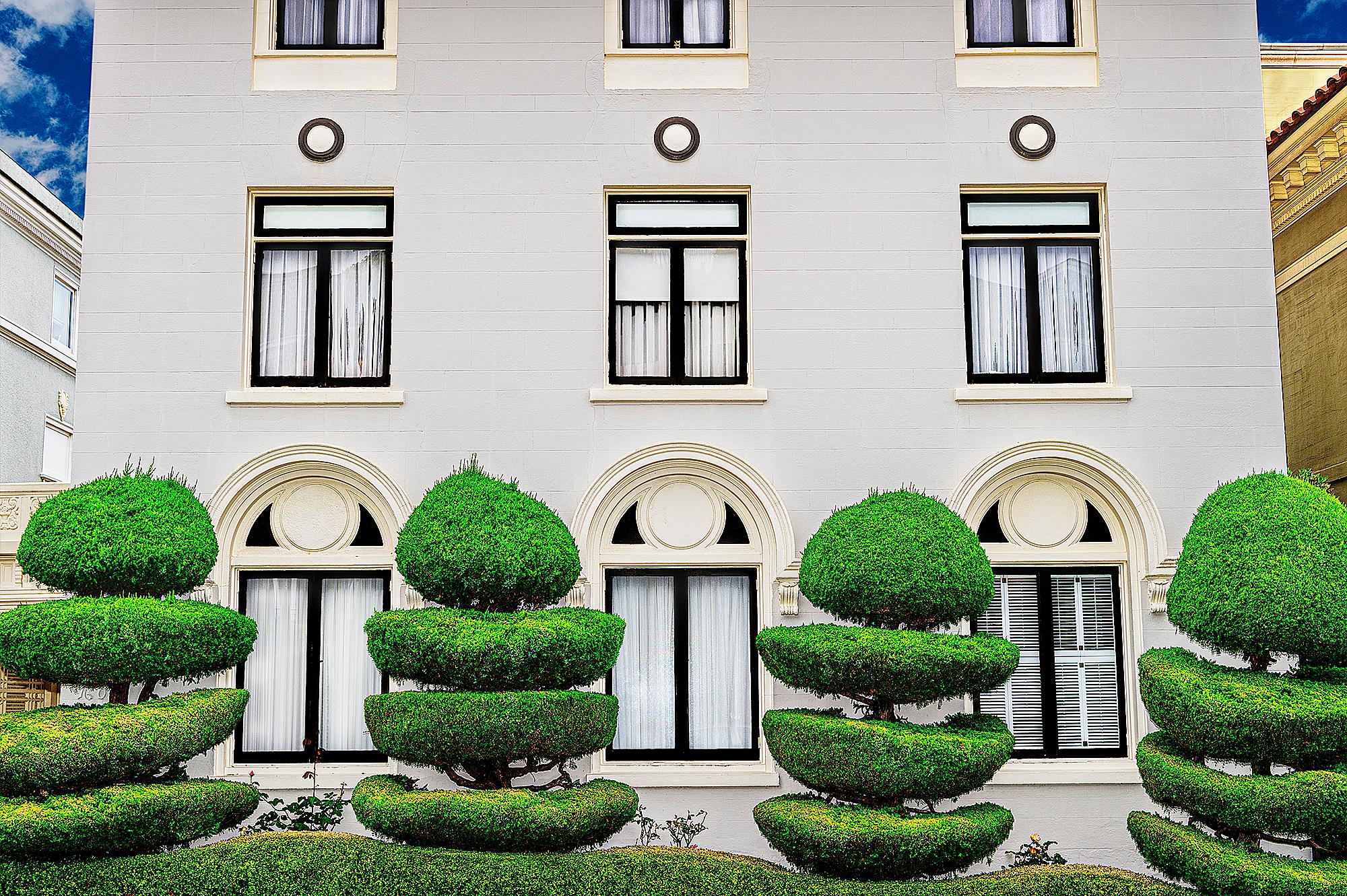 Mitchell Funk Landscape Photograph – Eleganter gepflegter Topiary-Garten San Francisco – Baumskulptur