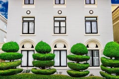 Elegant Manicured Topiary Garden San Francisco - Tree Sculpture