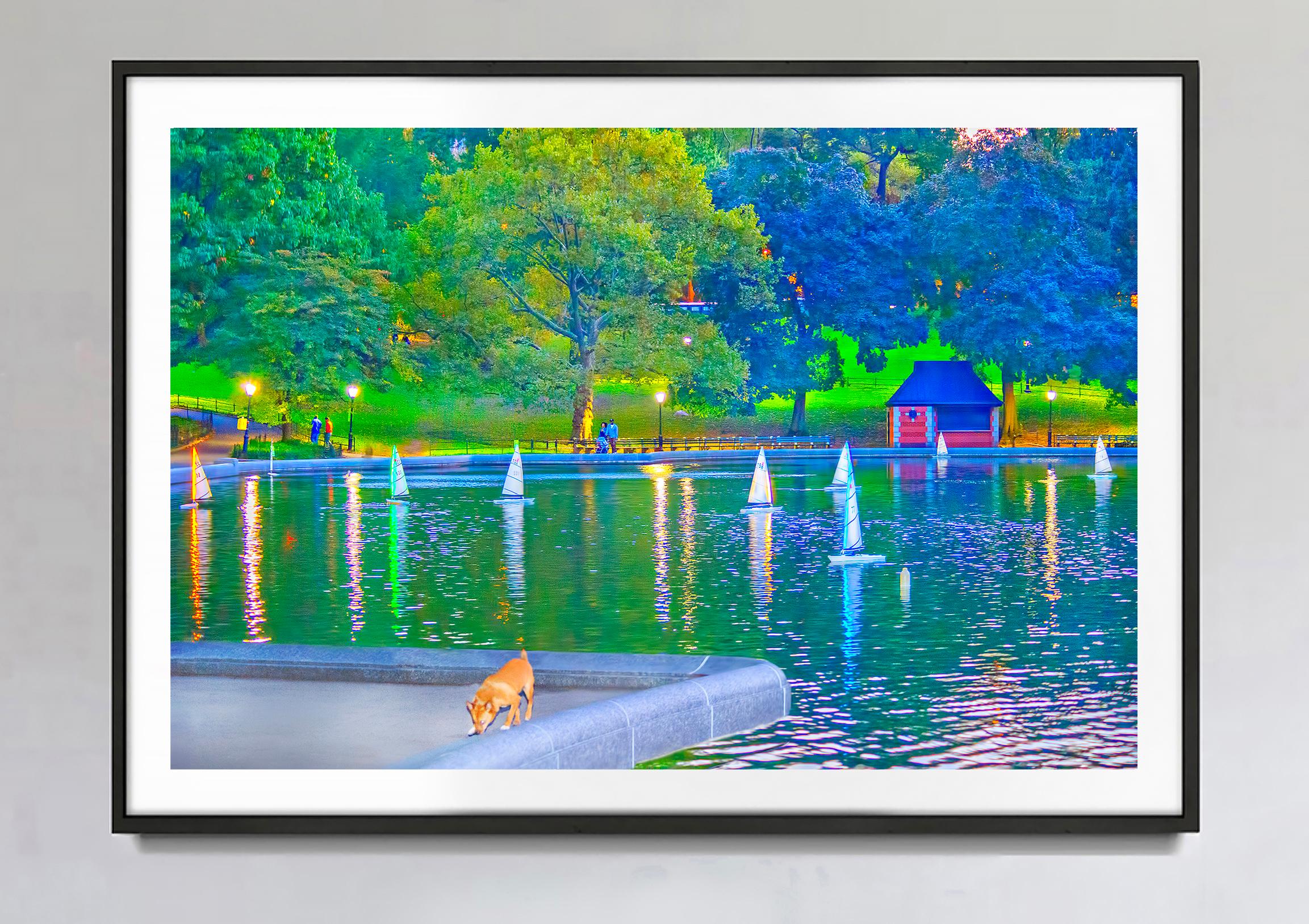 Model Sailboats In Central Park Pond, New York City - Photograph by Mitchell Funk