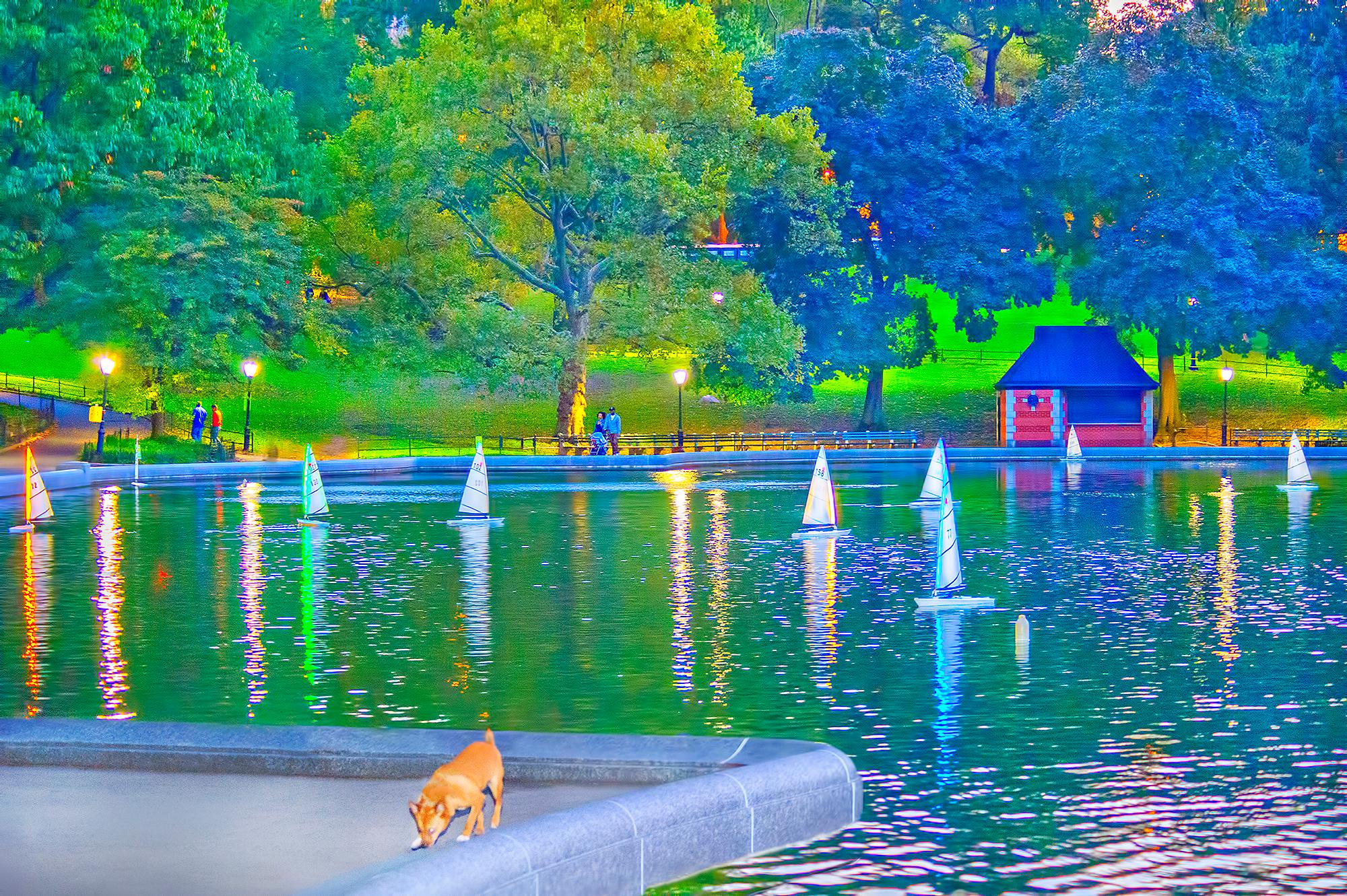 Color Photograph Mitchell Funk - Modèle réduit de voiliers dans l'étang de Central Park Pond, New York