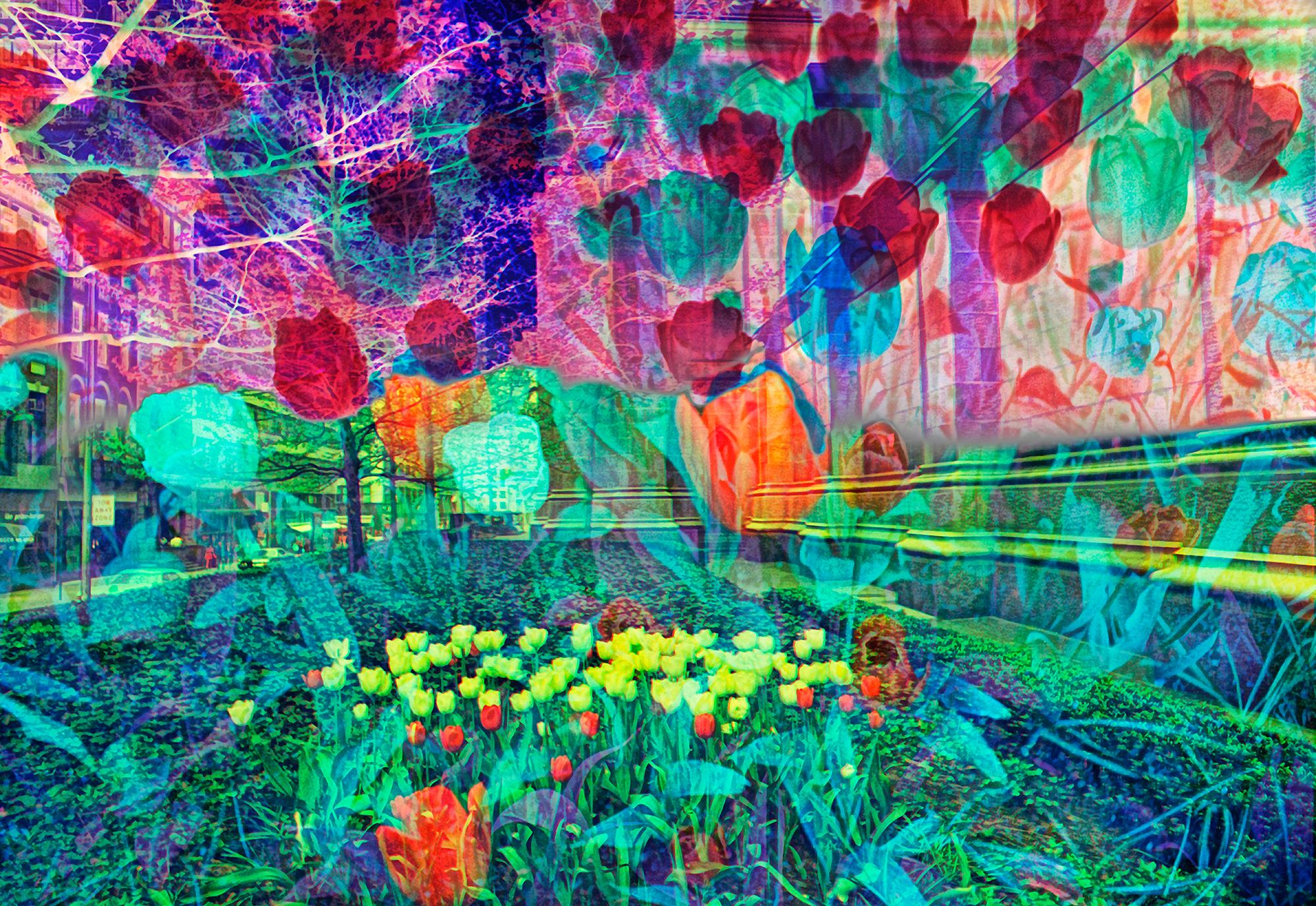Mitchell Funk Landscape Photograph - Multiple Exposure of  Colorful Flowers St. Patrick's Cathedral
