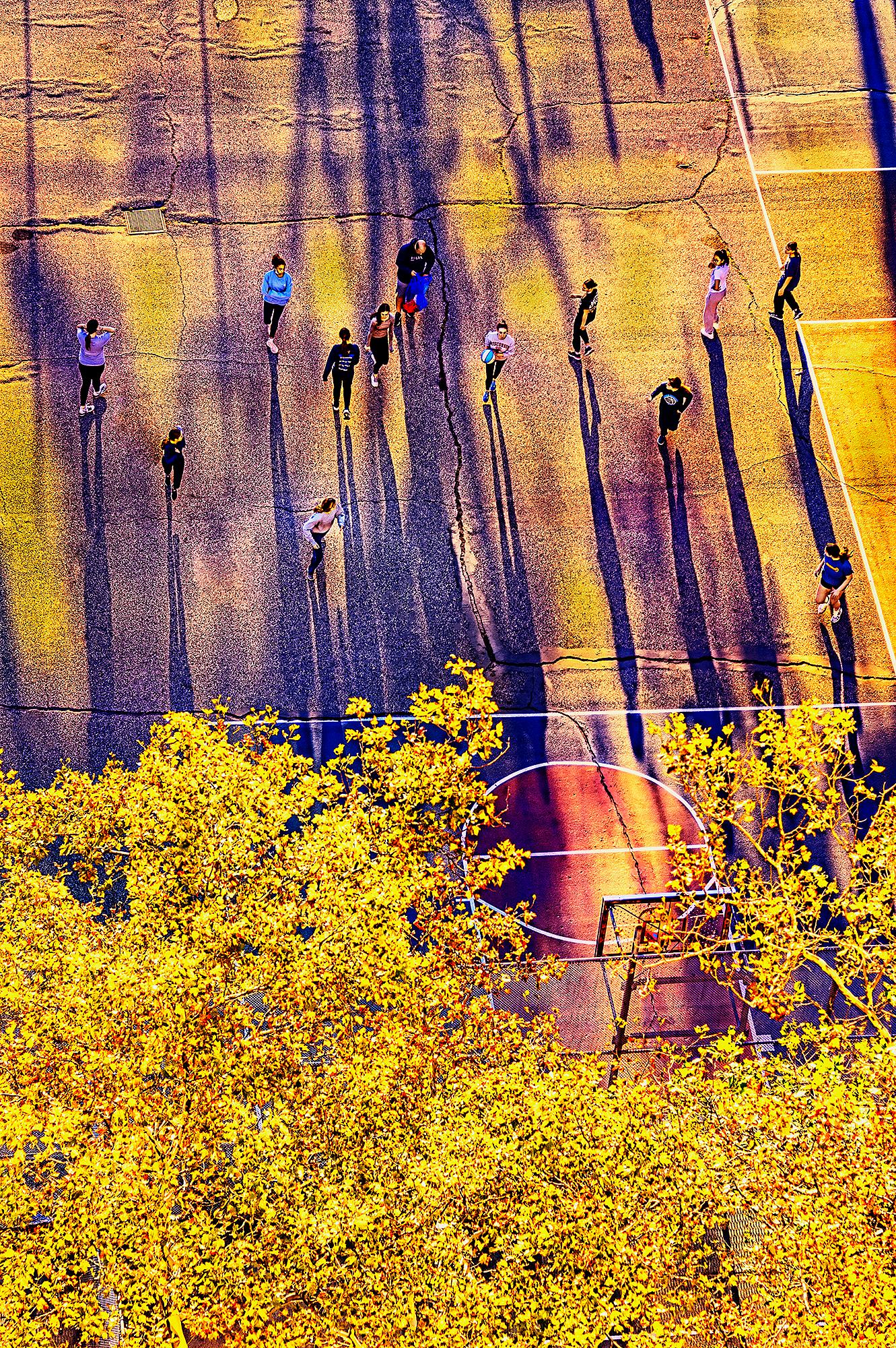 New York City Early Morning Light, Yellows and Gold   ( Color Photography )