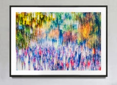 New York City Marathon Blurred Motion Signed Fine Art Color Photography Print