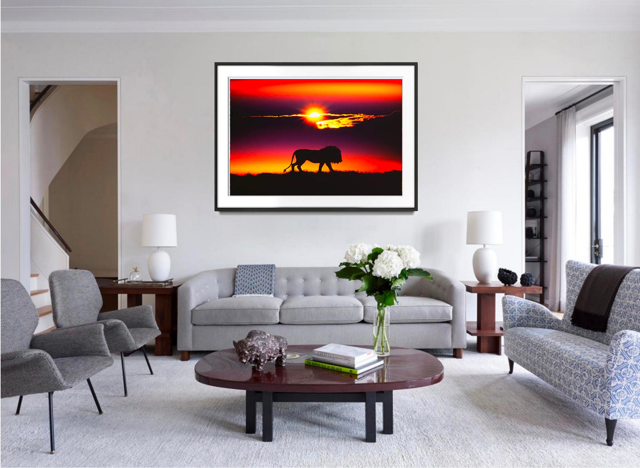 León Noble al atardecer - Photograph de Mitchell Funk