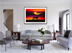 Leone Nobile al tramonto