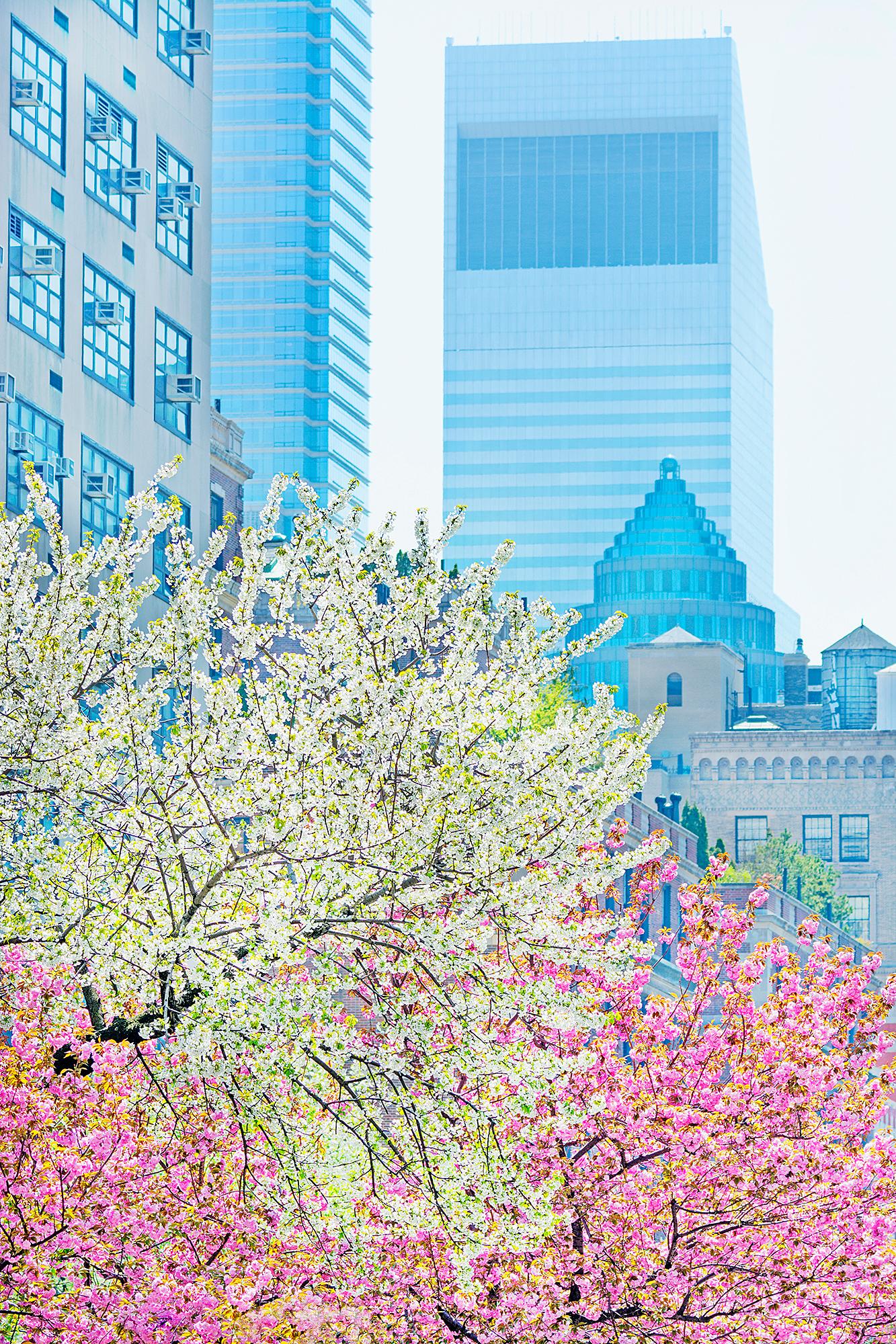 Mitchell Funk Color Photograph – Park Avenue mit  Pastellfarbene Pastellfarben im Frühlingslicht