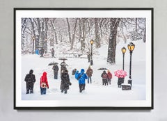 Menschen im Central Park während eines Schneesturms: Kunstfotografie in Farbe, signiert, 4/15