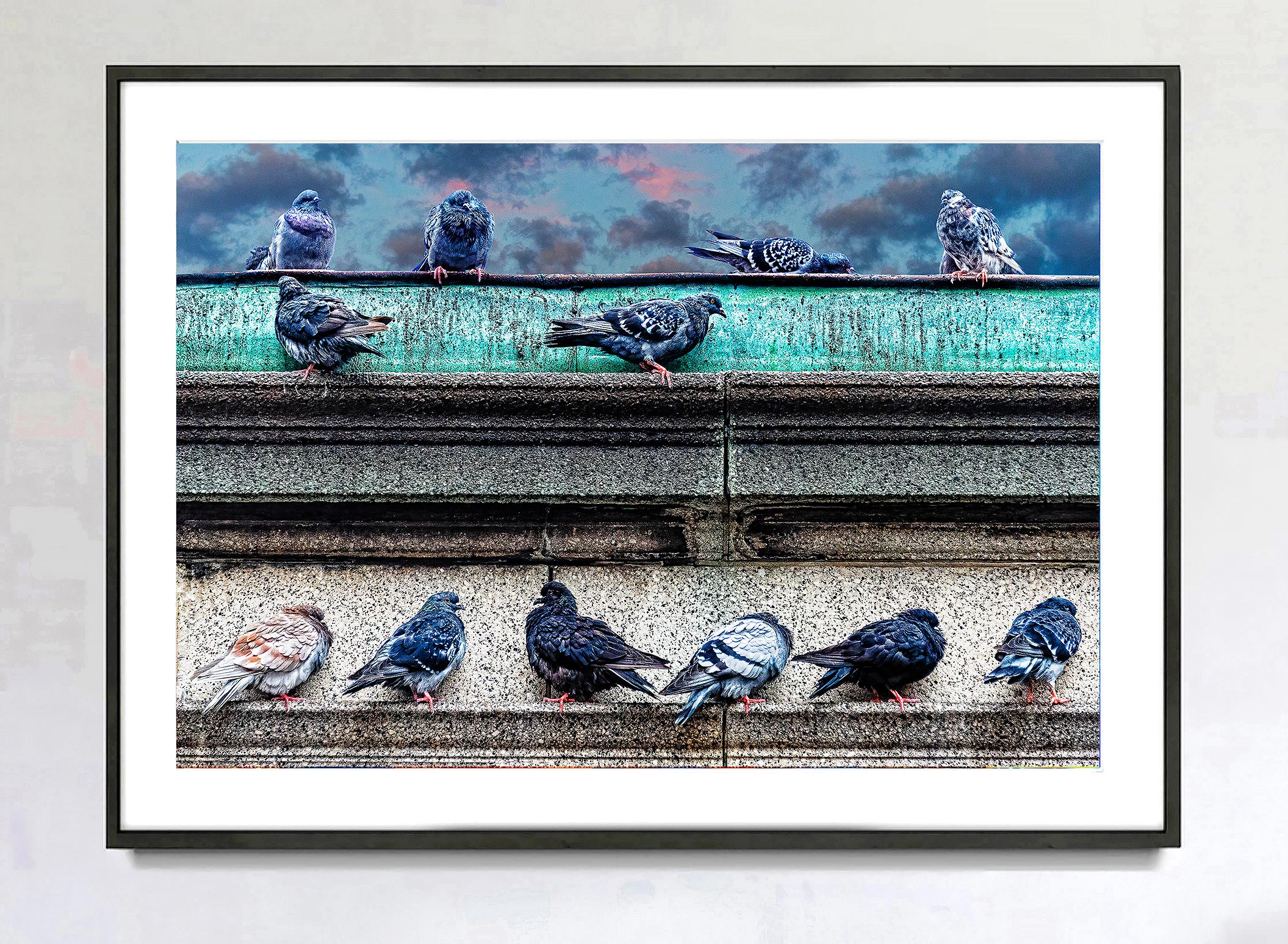 Posing-Tauben.  Manhattan in neutralen Farben Grau und Grau mit Vögeln  – Photograph von Mitchell Funk
