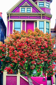 Pink and Purple Victorian House with Red Tree