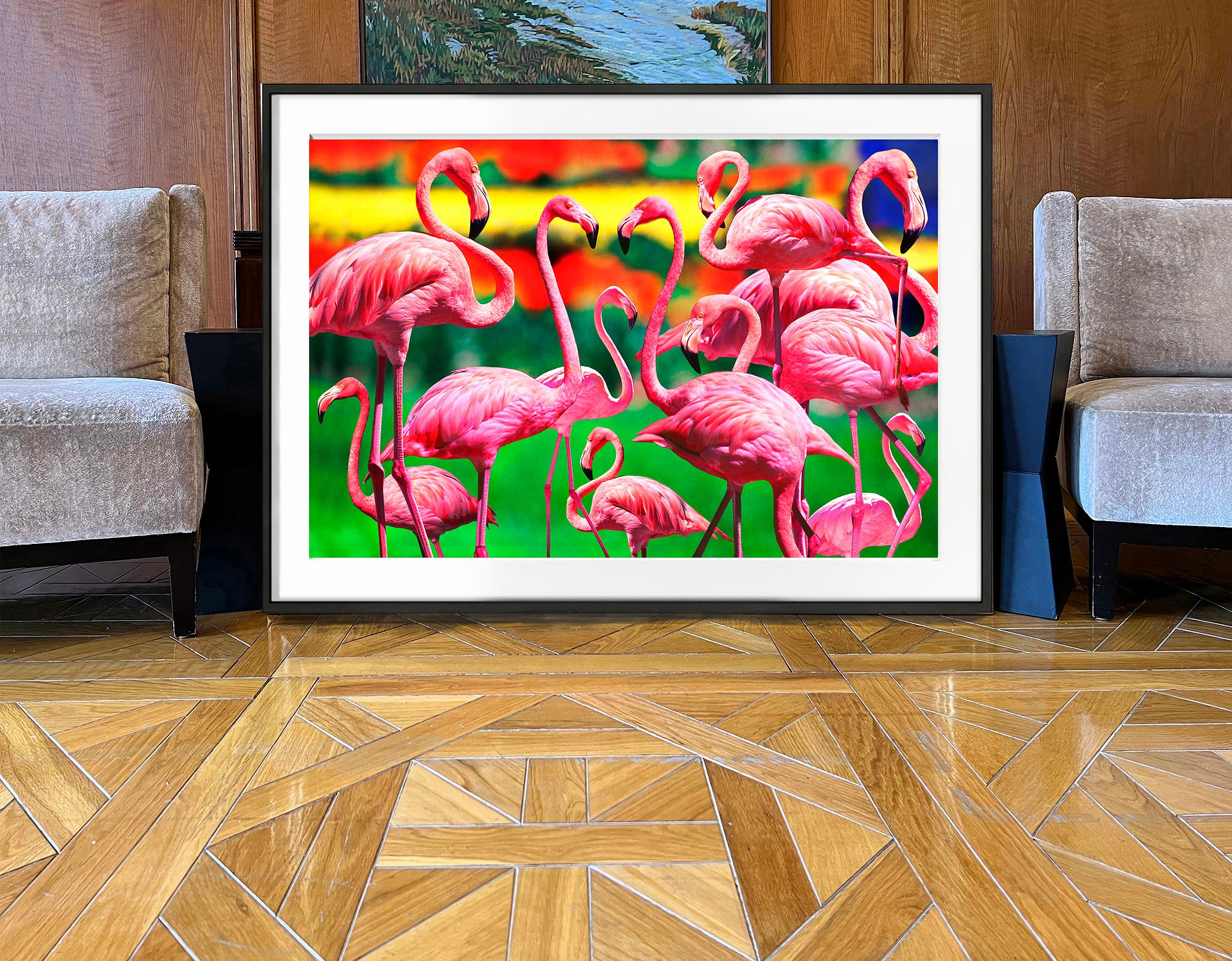 Flamingos-Gemeinschaft mit farbenfrohem Hintergrund (Impressionismus), Photograph, von Mitchell Funk