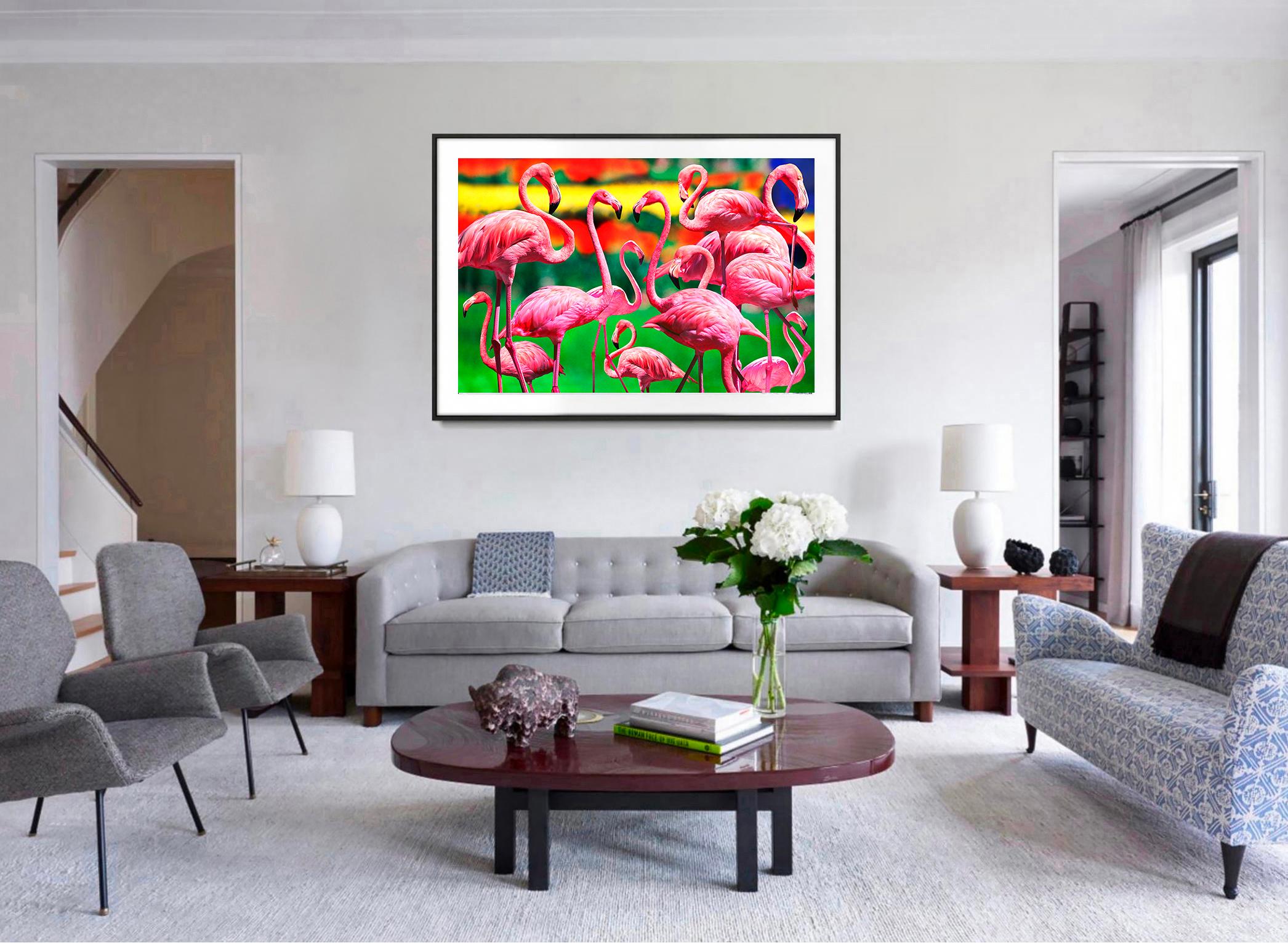 Pink Flamingos Socializing with a Colorful Background - Impressionist Photograph by Mitchell Funk