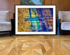 Poetic Light Skims off Tennis Court with Running Dog