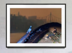 Prism Pigeon Perched on Promenade -   Moody Bronze Light