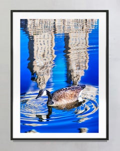 Reflections of Duck in Central Park Lake, Signed Color Photography