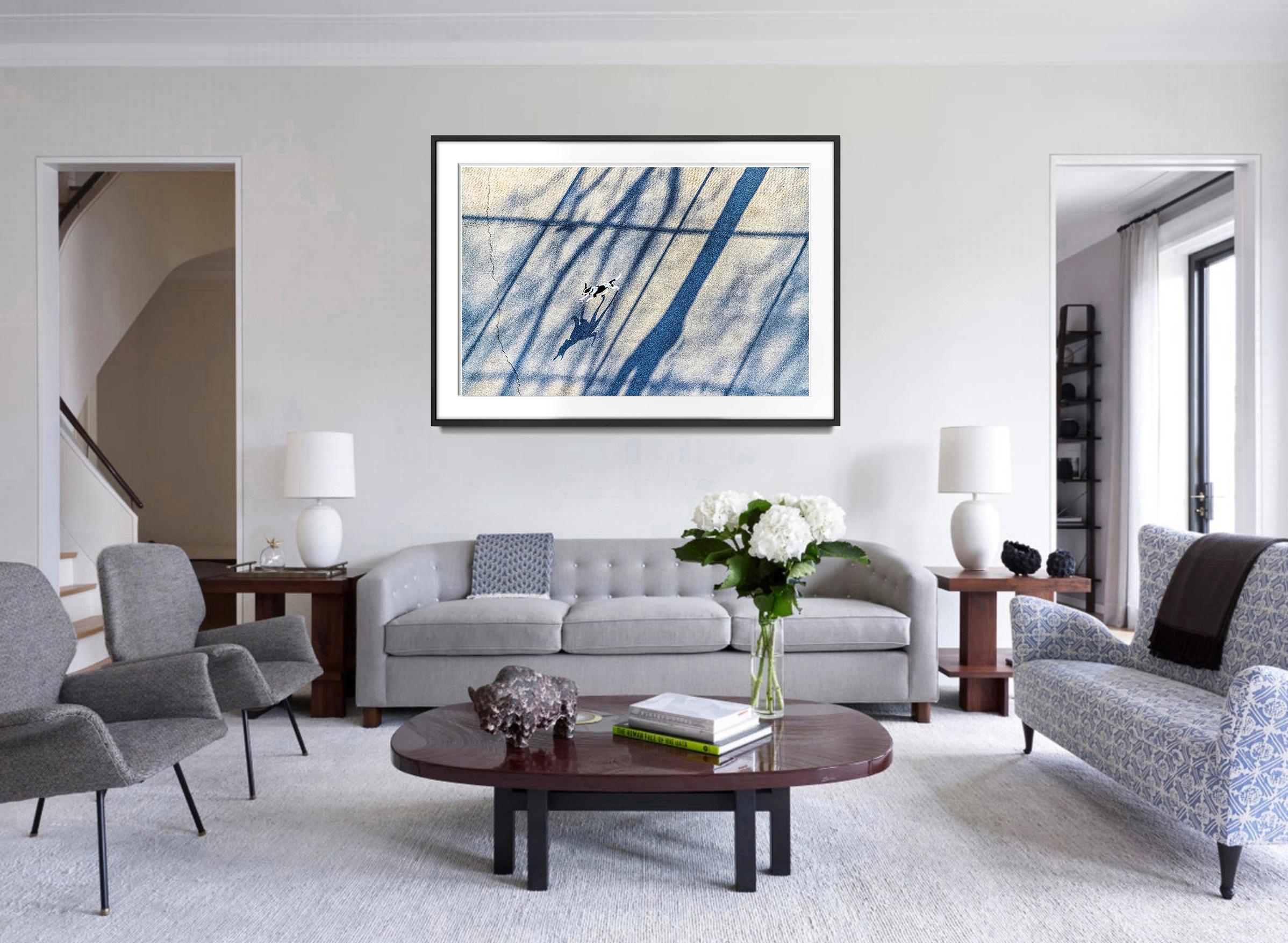 Cane che corre tra le ombre, Paletta neutra - Photograph di Mitchell Funk