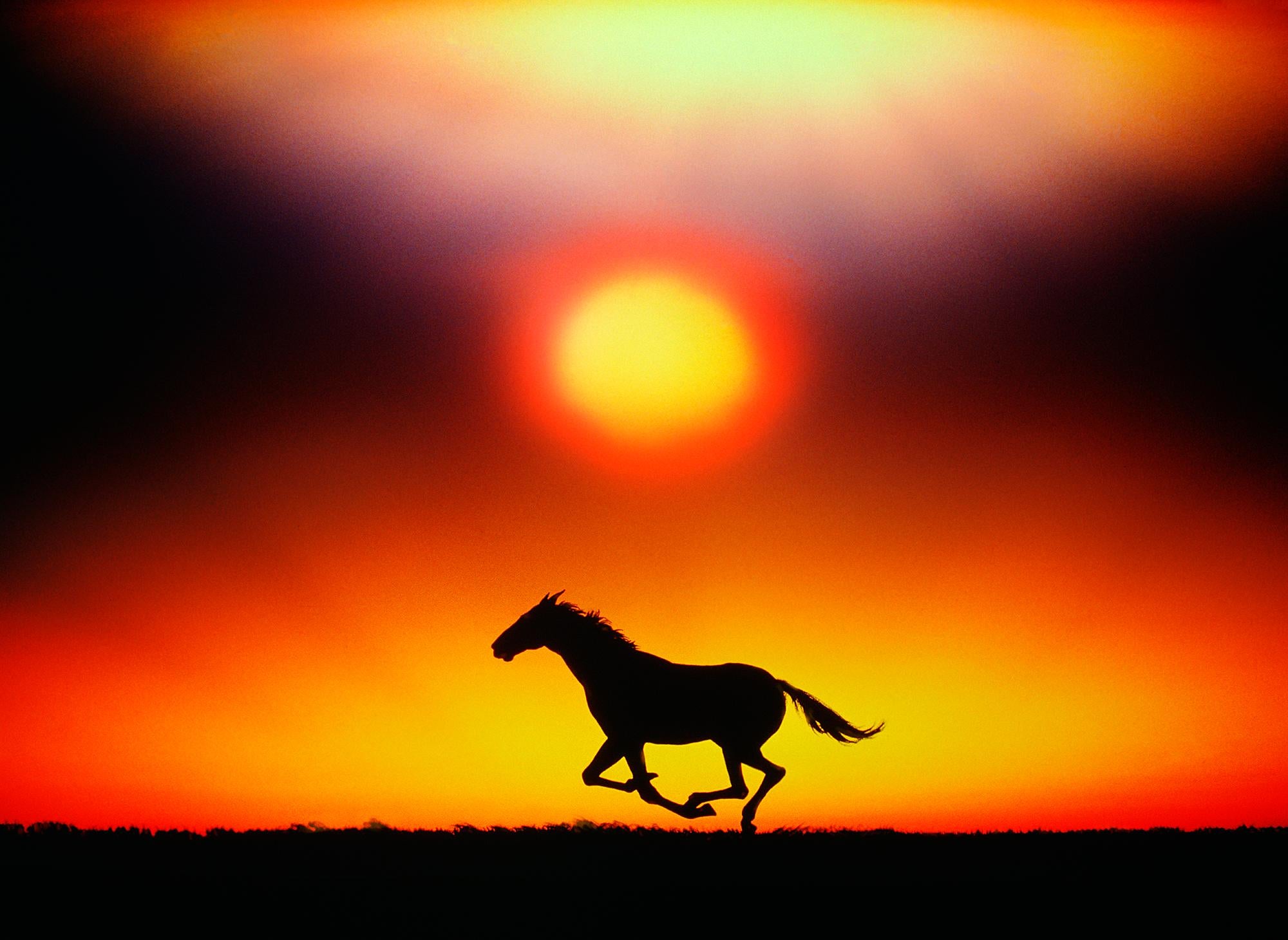 Mitchell Funk Landscape Photograph - Running Horse at Sunset - Dave Grusin Album Cover