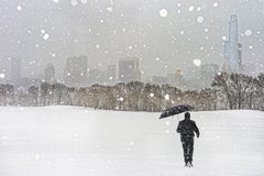 Snow Blizzard In Central Park Sheep Meadow. NYC Fine Art Photo Print