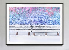 Panchina sotto la neve, Central Park, stampa artistica a colori, firmata, edizione n. 3/15.
