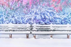 „Snow Cover Bench“, Central Park, Kunstdruck in Farbe, signiert, Auflage 3/15.