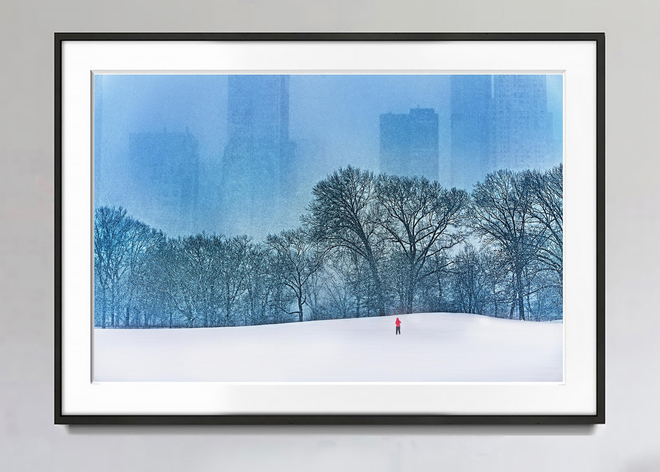 Snow in Central Park  Billionaire Row -  Monochromatic  Grey and Blue  - Photograph by Mitchell Funk