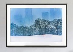 Neve a Central Park  The Row - Il miliardario  Monocromatico  Grigio e blu