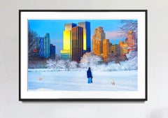 Snowfall in Central Park with Dogs in Snow, Architecture