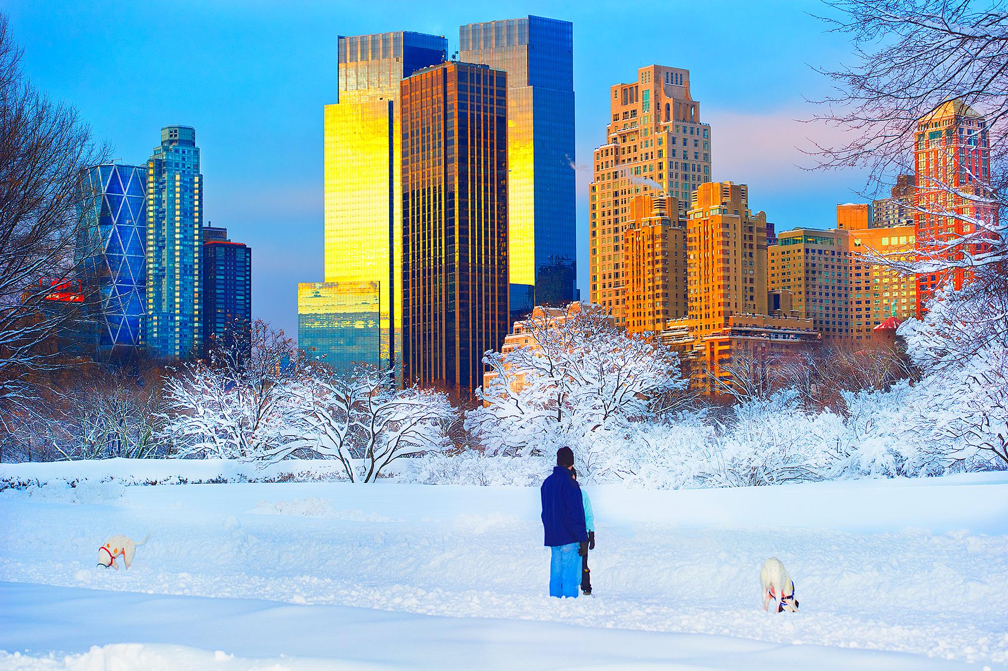 La chute de neige dans un parc central avec des chiens dans la neige, architecture 