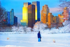 Snowfall in Central Park with Dogs in Snow, Architecture
