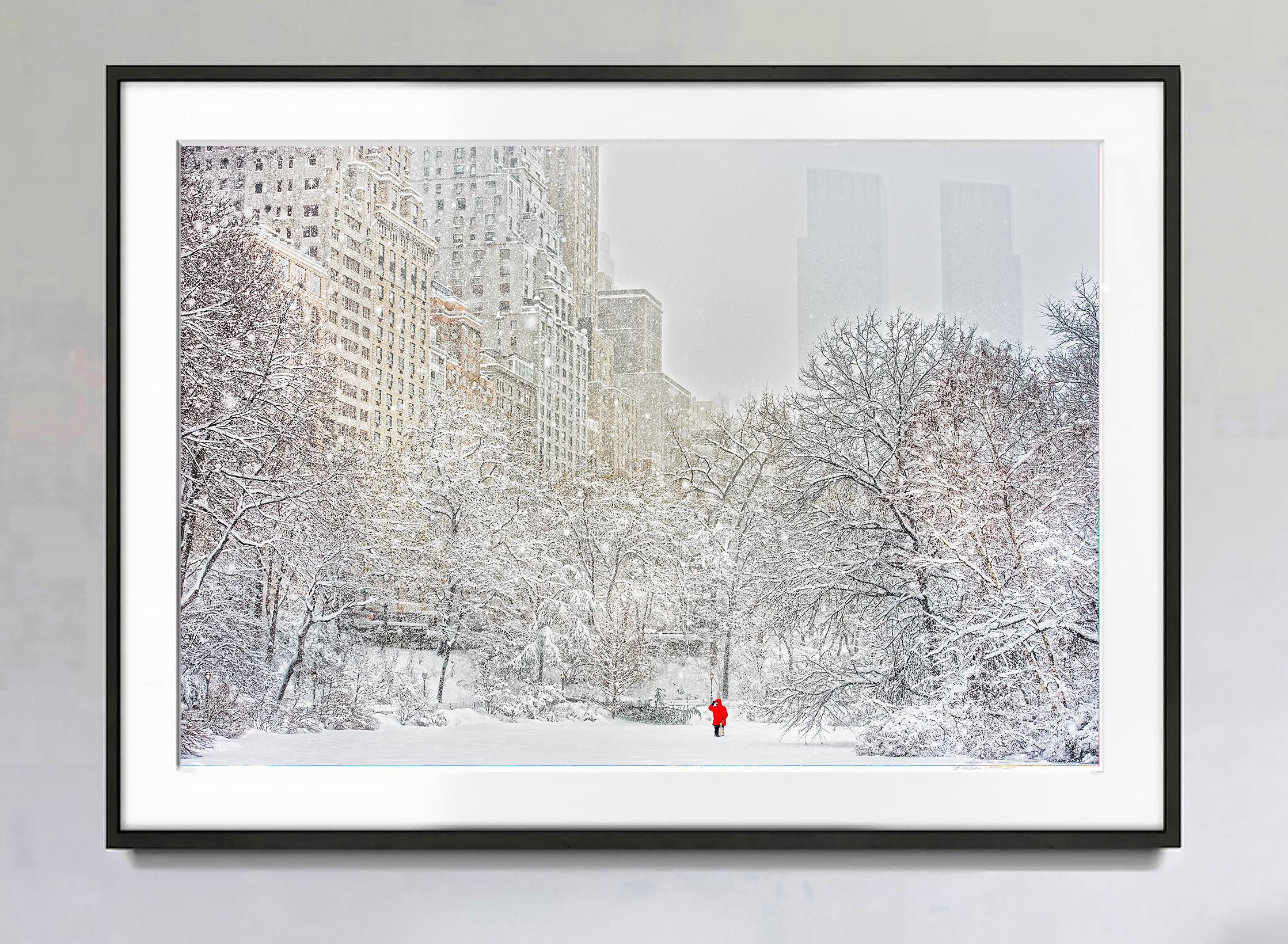 Schneestorm im Central Park von Mitchell Funk Winterszene Monochomatisch  im Angebot 1