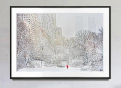 Snowstorm in Central Park by Mitchell Funk Winter Scene Monochomatic