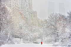 Snowstorm in Central Park by Mitchell Funk Winter Scene Monochomatic 