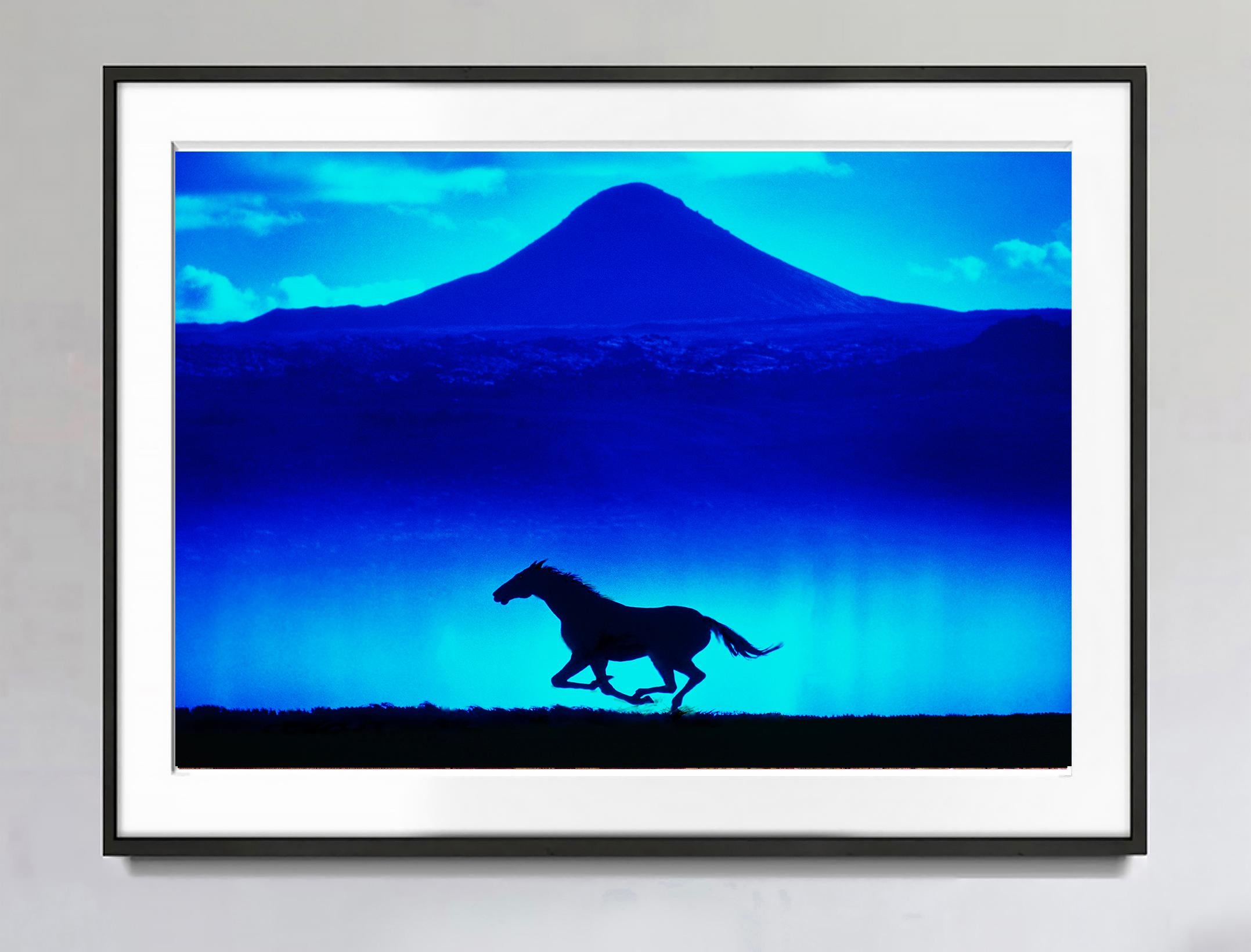 Solitäres Laufpferd mit Silhouette vor blauem Berg – Photograph von Mitchell Funk