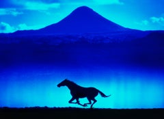Solitäres Laufpferd mit Silhouette vor blauem Berg