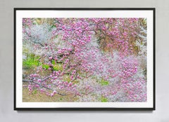 Fioritura primaverile a Central Park, stampa artistica su carta Hahnemühle Baryta