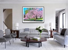 Spring Blooms In Central Park. Fine Art Print Hahnemuhle Paper Baryta